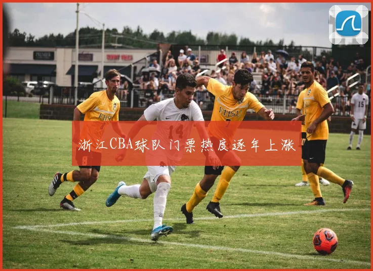 浙江CBA球队门票热度逐年上涨