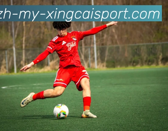 杏彩体育APP 高清赛事图